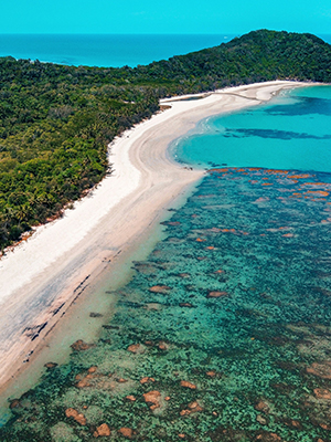 Great coral reef