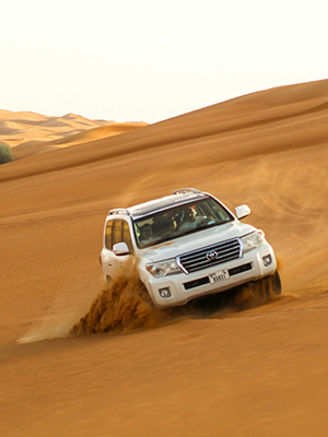 Desert safari